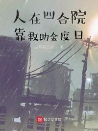 人在四合院靠救助金度日奇书网