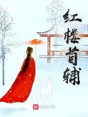 红楼首辅讲的什么