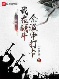亮剑我在战斗余波中打卡 第95章