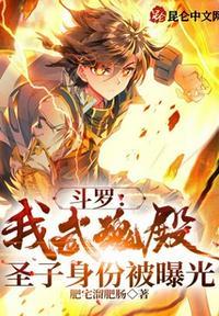 穿越武魂殿圣子