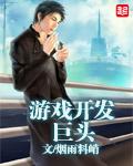 游戏开发巨头汉化破解版游戏说明