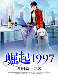 崛起1997张林梦