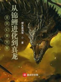 从锦鲤进化到真龙猪头