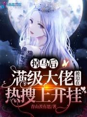 满级大佬掉马以后战七少