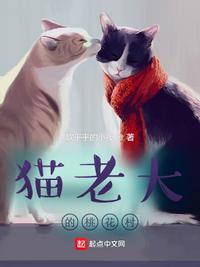 猫老大值吗