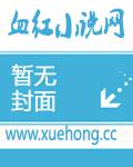 陈平苏雨琪最新更新章节更新时间