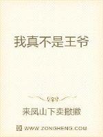 我真不是王爷免费阅读全文