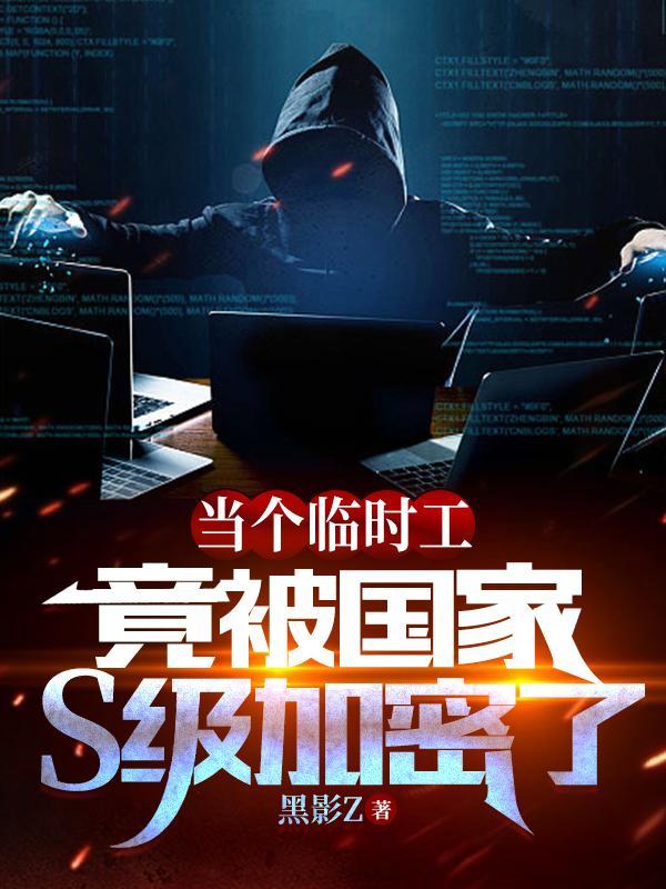当个临时工竟被国家s级加密了 黑影Z