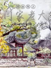 四合院之闫家老大星际旅客著