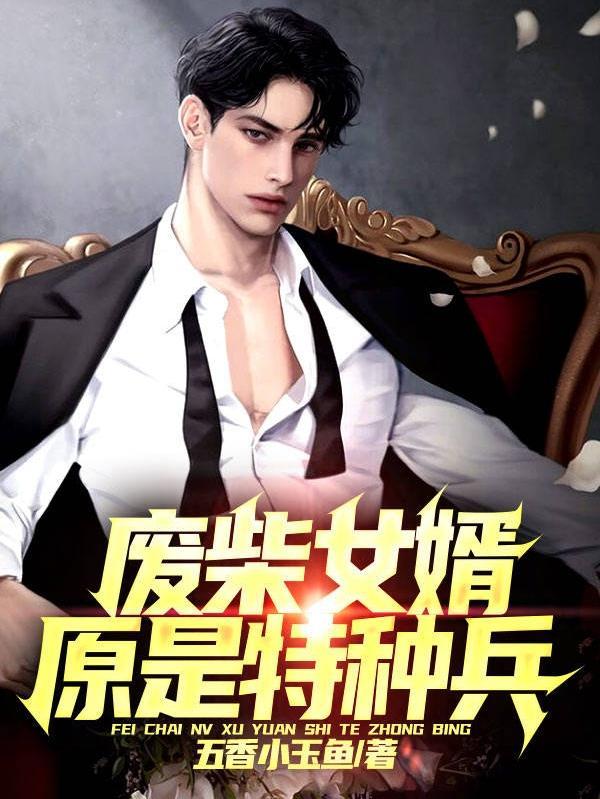 废柴女婿类型的