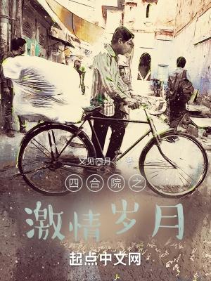 四合院之激情岁月全文阅读