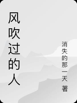 风吹过的人行道歌词