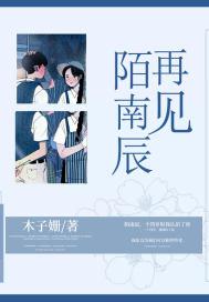 再见南辰歌曲