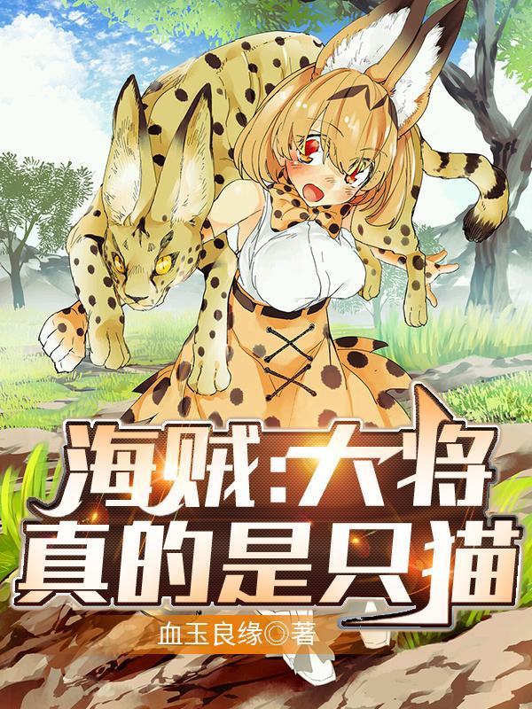 海贼王大将是什么实力