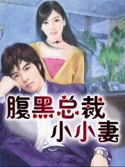 腹黑总裁小小妻全文阅读免费最新章节凰女
