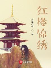 红楼锦鲤贾瑚无防盗