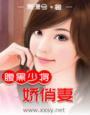 腹黑少将的闪婚小小妻黑道