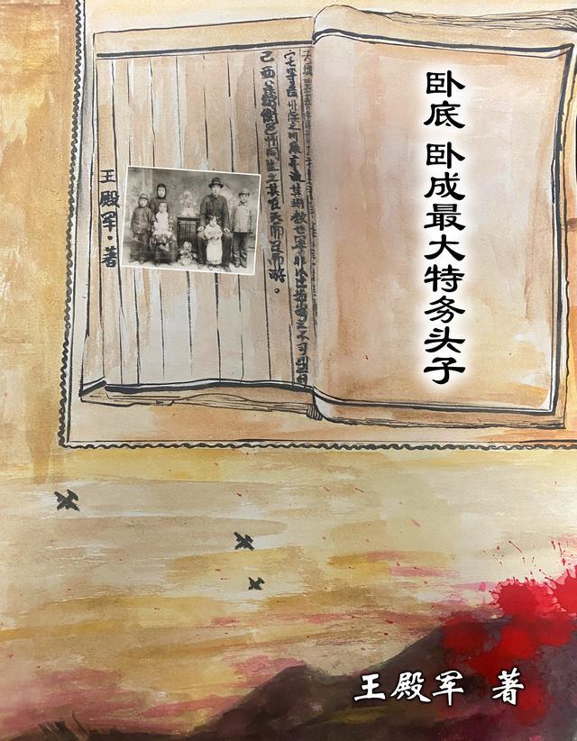 卧底特务电视剧