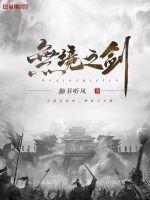 无境之剑免费阅读全文