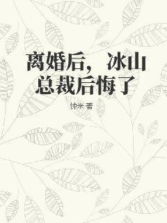离婚后冰山总裁后悔了陆辰