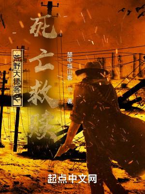 荒野大镖客之死亡救赎TXT