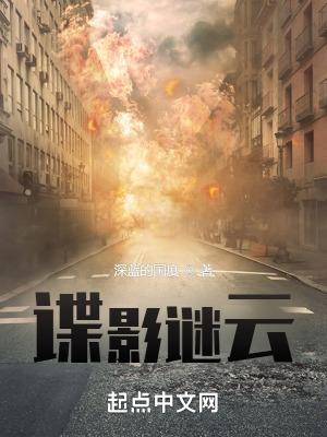 谍影谜云 第204章