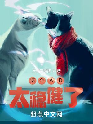 这个ad太稳健了 橘猫