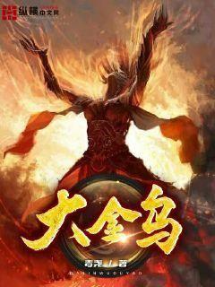 大金乌动漫在线观看