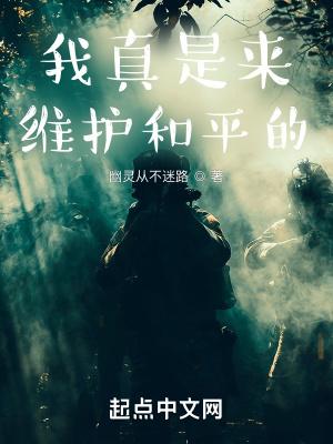 我真是来维护和平的精校