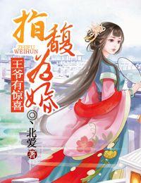 指馥为婚王爷有惊喜无删减