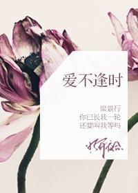 爱不逢时短剧最终结局