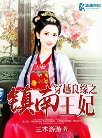 穿越良缘之镇南王妃书单推荐