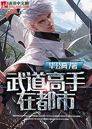 武道高手在都市完整版