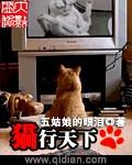 怎样加入猫行天下