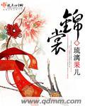 锦囊妙录电视剧演员表