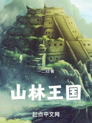 山林王国主角有多少老婆