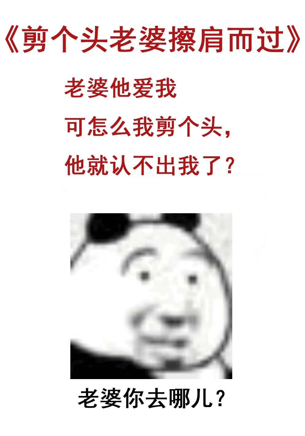 剪个头老婆擦肩而过讲的什么