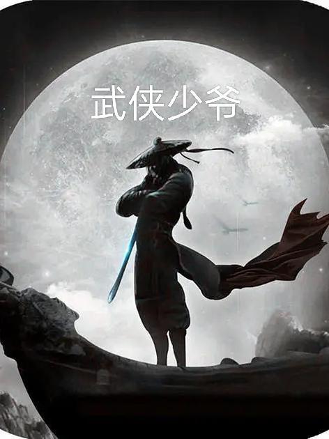 综武侠少爷与盗帅