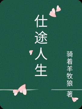 仕途人生小