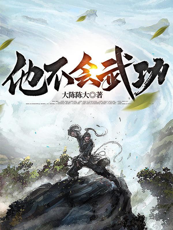 他不会武功免费阅读阿雕全文