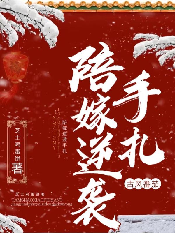 陪嫁丫头逆袭