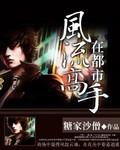 风流高手都市猎艳记全文