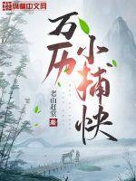 万历小捕快评价