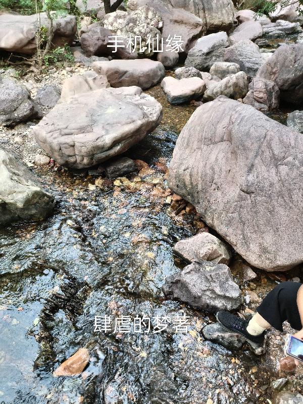 仙缘梦手机代表