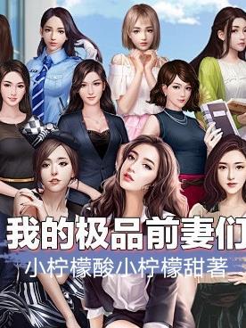 我的极品前妻们 小柠檬酸小柠檬甜