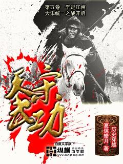 天宋武功原著叫什么名字