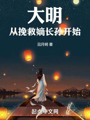 大明从挽救嫡长孙开始百度百科
