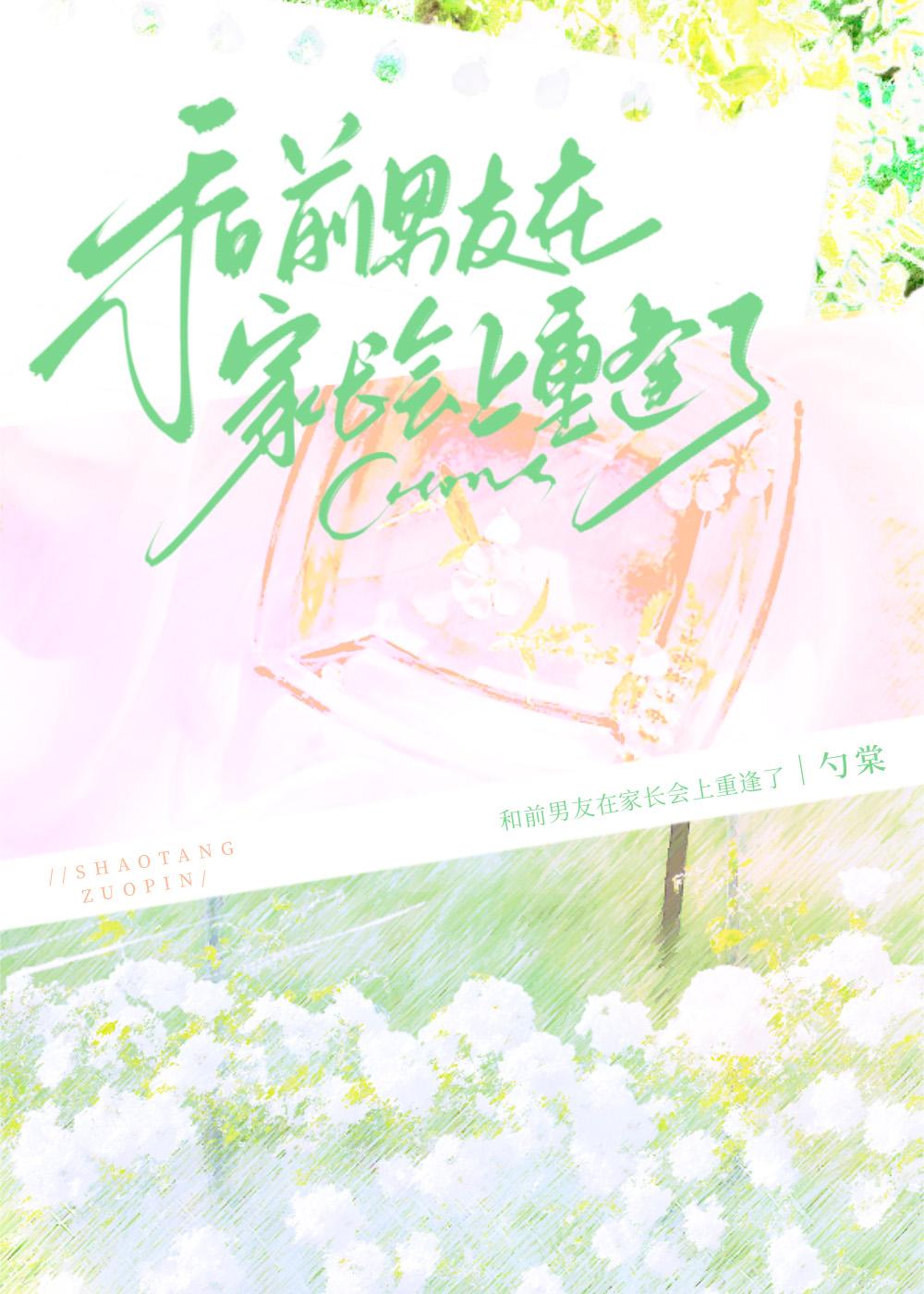 在家长会上遇前任by勺棠免费阅读
