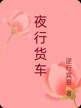 夜行货车多少字