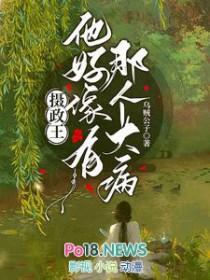 摄政王他好像有那个大病讲了什么故事